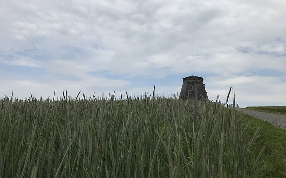 Mühle Greiffenberg, Foto: Anet Hoppe, Lizenz: Anet Hoppe