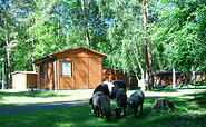 Wildnisschule Teerofenbrücke, Foto: E. Patsch, Lizenz: E. Patsch