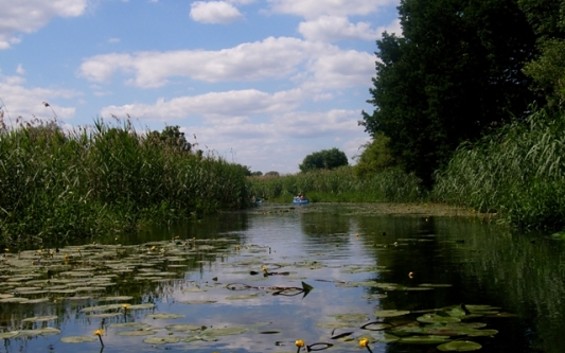 Alte Oder, Foto: TV-SOS/Jautze
