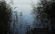 Blick auf den Potzlower See, Foto: Familie Meister, Lizenz: Familie Meister