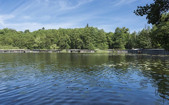 Boitzenburg, Küchenteich - Badestelle am Schloss Boitzenburg, Foto: Steffen Lehmann, Lizenz: TMB-Fotoarchiv/Steffen Lehmann