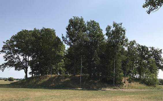 Burgwall Wollschow, Foto: Anet Hoppe, Lizenz: Anet Hoppe