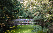 Verwunschenes Löcknitztal , Foto: Christoph Creutzburg, Lizenz: Seenland Oder-Spree e. V.