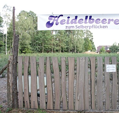 Heidelbeergarten Kolzenburg, blueberry farm