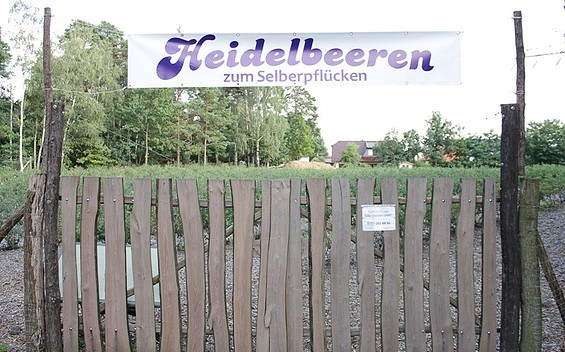 Heidelbeergarten Kolzenburg