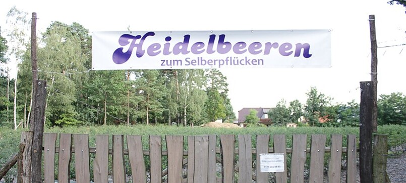 Heidelbeergarten Kolzenburg, blueberry farm