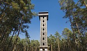 Heidebergturm in Gröden, Foto: TMB-Fotoarchiv/Steffen Lehmann