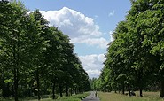 Radweg nach Liebenthal, Foto: WITO Barnim