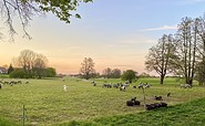 Wiese am Wegesrand, Foto: Stephen Ruebsam