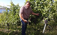 Winemaker Dr. Andreas Wobar, Foto: Sylvia Schiesser, Lizenz: Weinbau Dr. Wobar