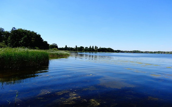 Blick auf den Hohennauener See