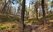 Zwischen Tremsdorf und Saarmund, Foto: Frank Meyer