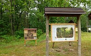 Kinderwald Märkisch Buchholz, Foto: Juliane Frank, Lizenz: Tourismusverband Dahme-Seenland e.V.