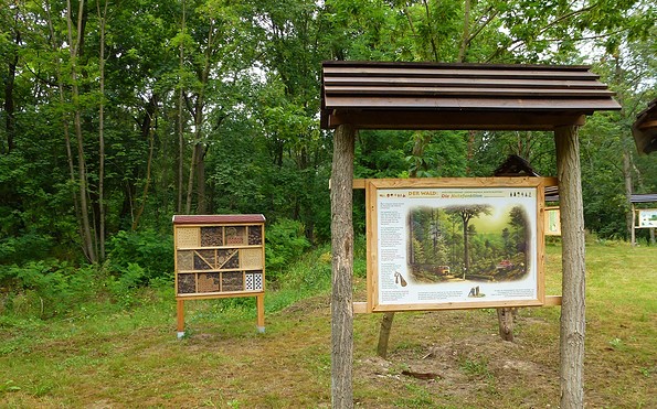 Kinderwald Märkisch Buchholz, Foto: Juliane Frank, Lizenz: Tourismusverband Dahme-Seenland e.V.