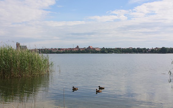 Radweg am Unteruckersee mit Blick auf Prenzlau, Foto: Anet Hoppe