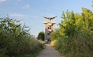Beobachtungsturm Mescherin, Foto: Alena Lampe