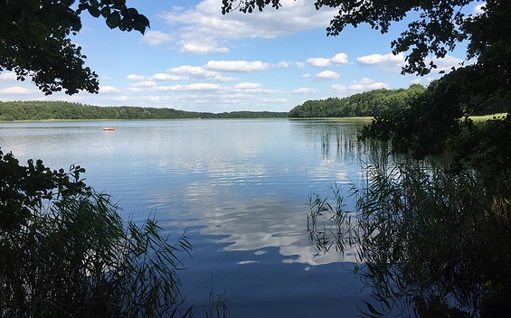 Blick auf den Lübbesee, Foto: Anet Hoppe