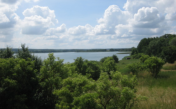 Aussicht auf den Oberuckersee in Fergitz, Foto: Anet Hoppe