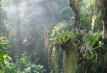 Potsdam Biosphere – The mystical tropical world