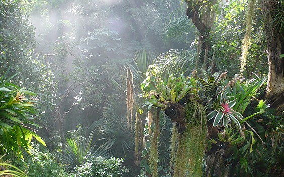 Potsdam Biosphere – The mystical tropical world