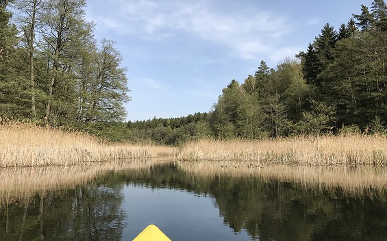 Kanu Tour an der Kolbatzer Mühle, Foto: Anet Hoppe