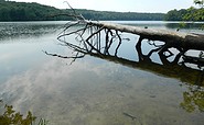 Uckermärker Landrunde Etappe6, Wolletzsee, Foto: Silke Rumpelt