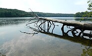 Uckermärker Landrunde Etappe6, Wolletzsee, Foto: Silke Rumpelt