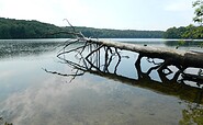 Uckermärker Landrunde Etappe6, Wolletzsee, Foto: Silke Rumpelt