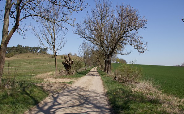 Feldweg nahe der Breitenteicher Mühle, Foto: Alena Lampe