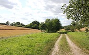 Uckermärker Landrunde Etappe8, bei Warnitz, Foto: Alena Lampe