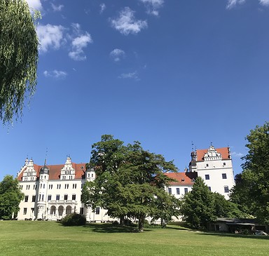 Großer Boitzenburger