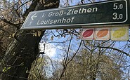 Wegweiser Buchenwald Weltnaturerbe Grumsin, Foto: Anet Hoppe