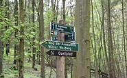 Weg der Auenblicke, Foto: Alena Lampe