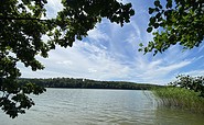 Wolletzsee im Sommer, Foto: Alena Lampe