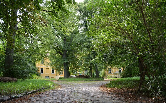 Schloss Wartin, manor house