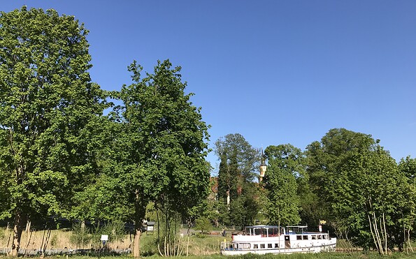 Bürgergarten in Templin, Foto: Anet Hoppe