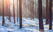 Grödener Berge, Foto: LKEE/Andreas Franke, Lizenz: LKEE/Andreas Franke