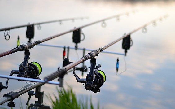 Fishing Rods, Foto: Martin Hradil / Pixabay