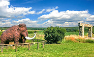 Besucher- und Informationszentrum Geopark, Mammut Georg, Foto: Amt Joachimsthal (Schorfheide), Lizenz: Amt Joachimsthal (Schorfheide)