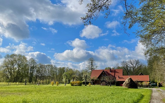 Am kleinen Scheidungsfließ
