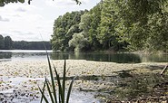 Groß Glienicker See, Foto: TMB-Fotoarchiv/ScottyScout