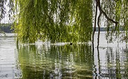 Groß Glienicker See, Foto: TMB-Fotoarchiv/ScottyScout