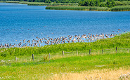 Radrundtour Grimnitzsee, Foto: Amt Joachimsthal (Schorfheide), Lizenz: Amt Joachimsthal (Schorfheide)