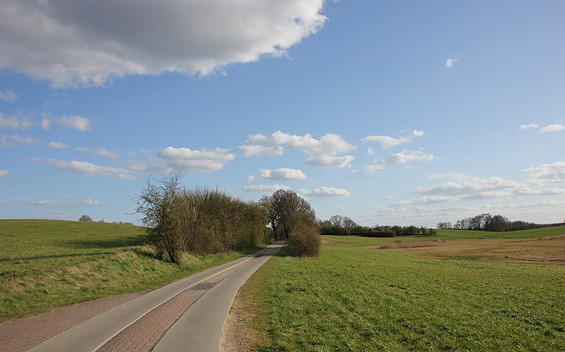 Radweg bei Warnitz, Foto: Alena Lampe, Lizenz: Alena Lampe
