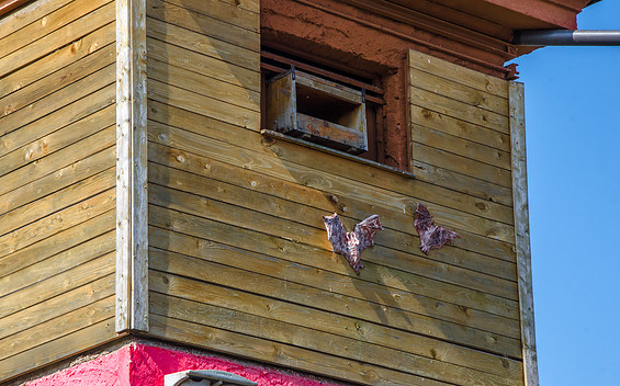 Kunst- und Kulturpfad Geopark, Fledermausturm, Foto: Amt Joachimsthal (Schorfheide), Lizenz: Amt Joachimsthal (Schorfheide)