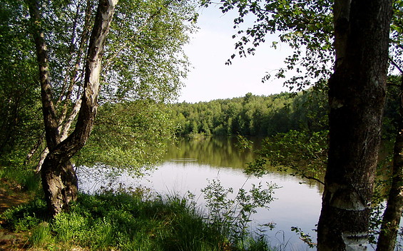 Rundtour kleiner Lubowsee,, Foto: Rainer Regling, Lizenz: Amt Joachimsthal (Schorfheide)