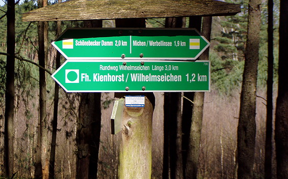 Elsenauer Forst, Foto: Amt Joachimsthal (Schorfheide), Lizenz: Amt Joachimsthal (Schorfheide)
