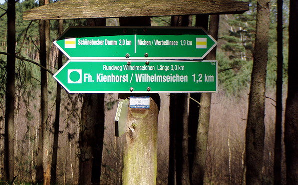 Elsenauer Forst, Foto: Amt Joachimsthal (Schorfheide), Lizenz: Amt Joachimsthal (Schorfheide)