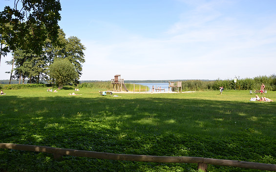 Liegewiese am Grimnitzsee , Foto: Amt Joachimsthal (Schorfheide), Lizenz: Amt Joachimsthal (Schorfheide)