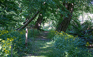 Wanderweg im Lenné-Park Görlsdorf, Foto: Alena Lampe